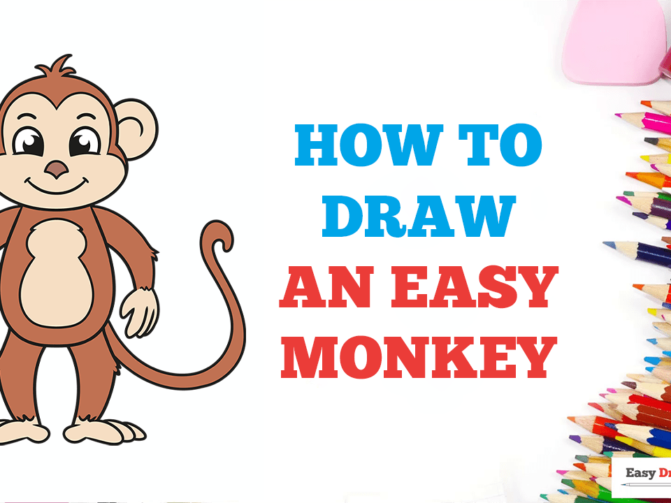19 Easy Monkey Drawings for Little Chimps  Cool Kids Crafts