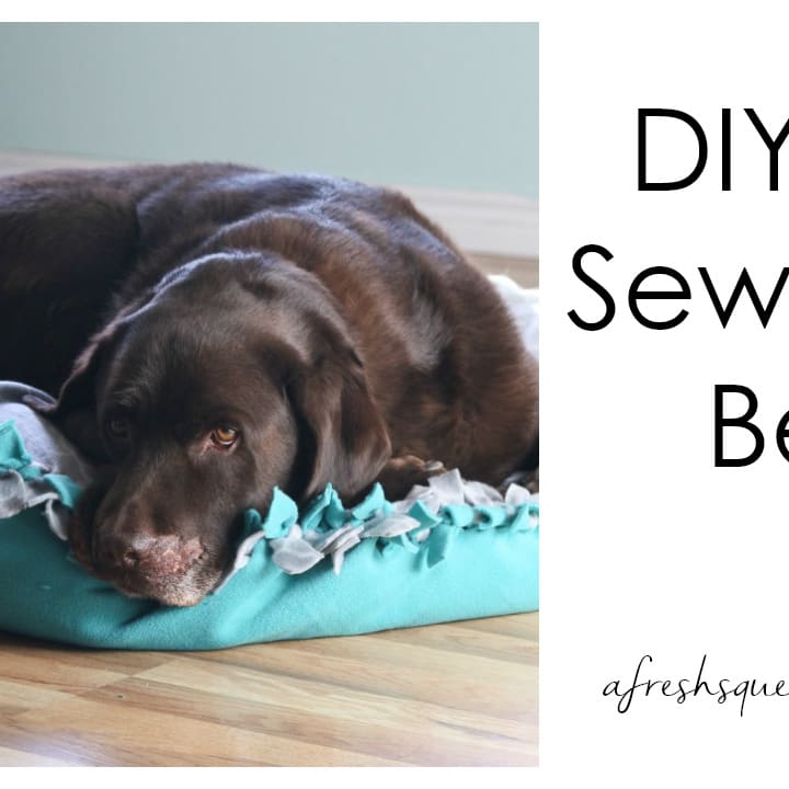 Diy dog bed hot sale cover no sew