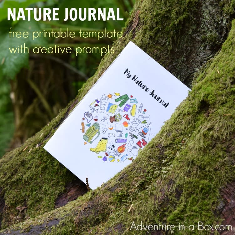 Children’s Guided Diary for Exploring the Outdoors with Cute Tree Owls Cover Nature Journal for Kids 
