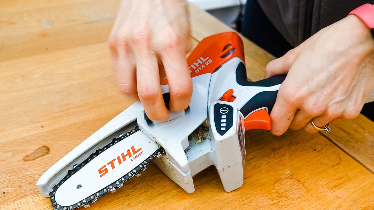 Image of Hand held chainsaw pruner close-up