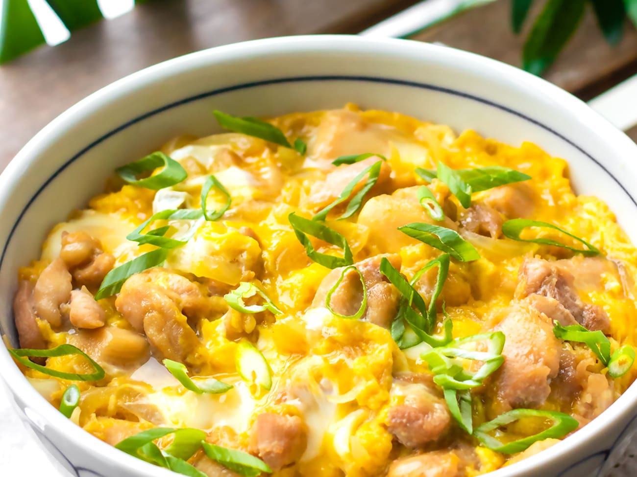 15-Minute Oyakodon (Japanese Chicken & Egg Rice Bowl)