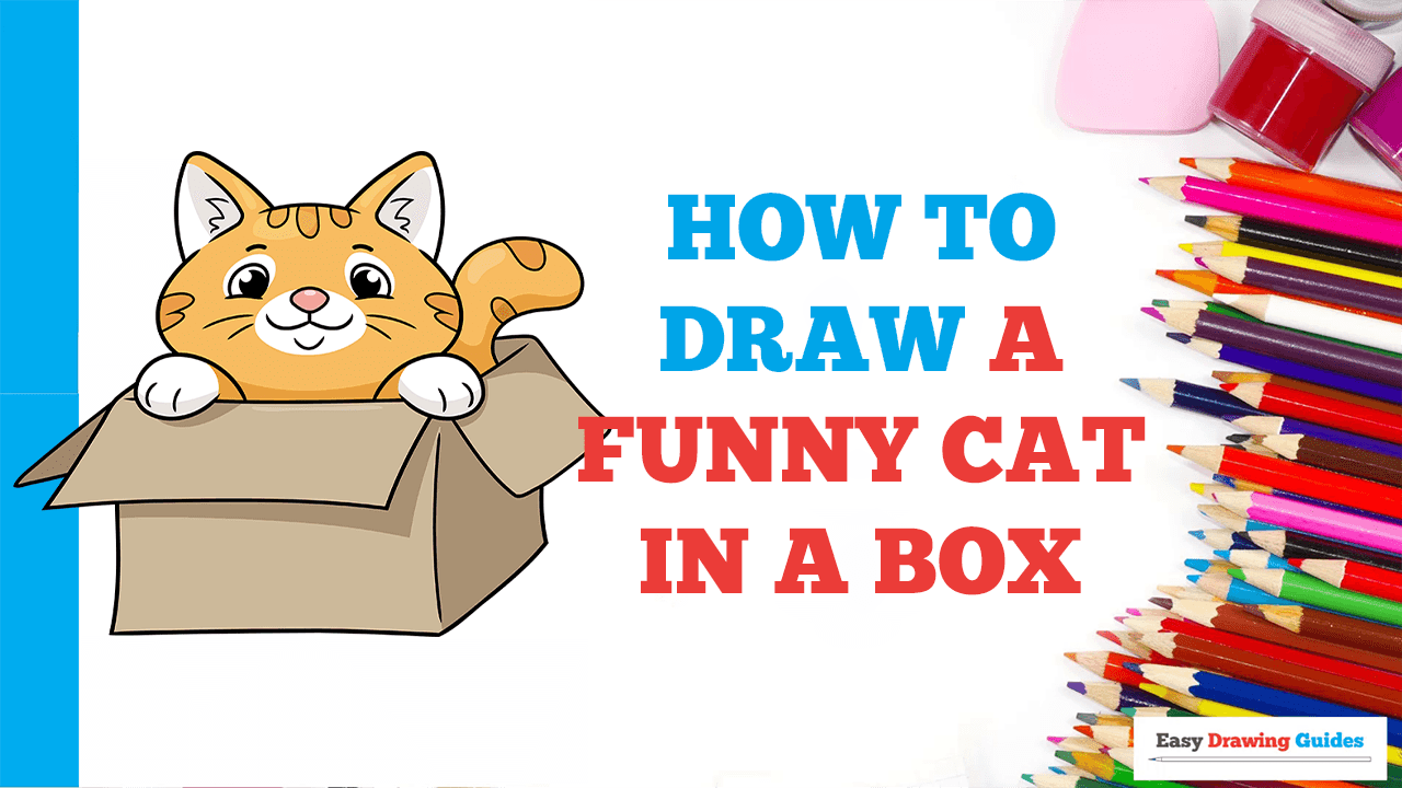 How to Draw a Funny Cat in a Box - Really Easy Drawing Tutorial