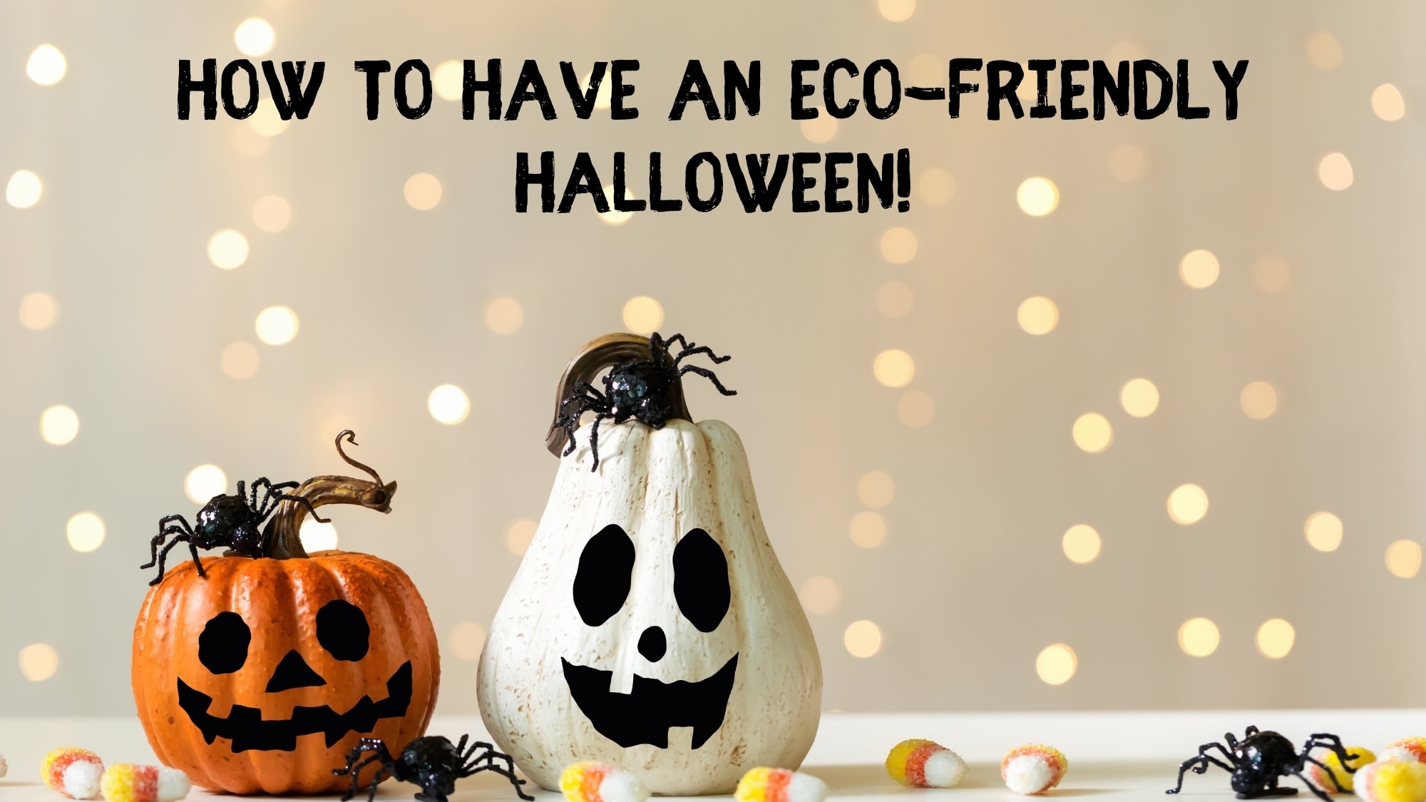 Sustainable Halloween Decor: Easy DIY Compostable Twig Garland