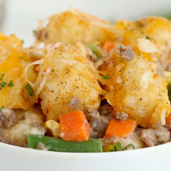 Ninja foodi store tater tots