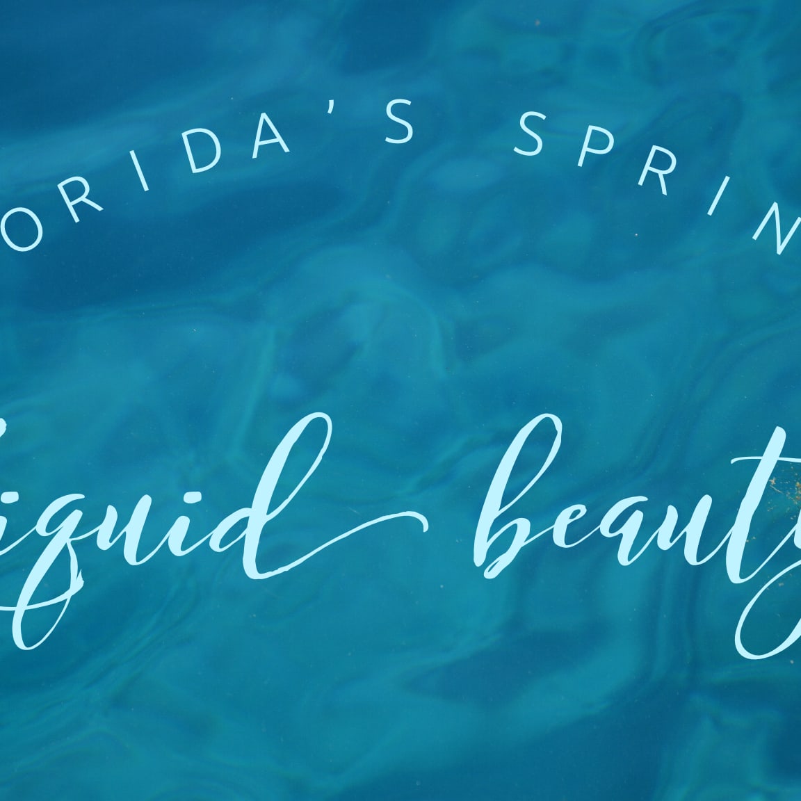 18 Best Springs in Florida