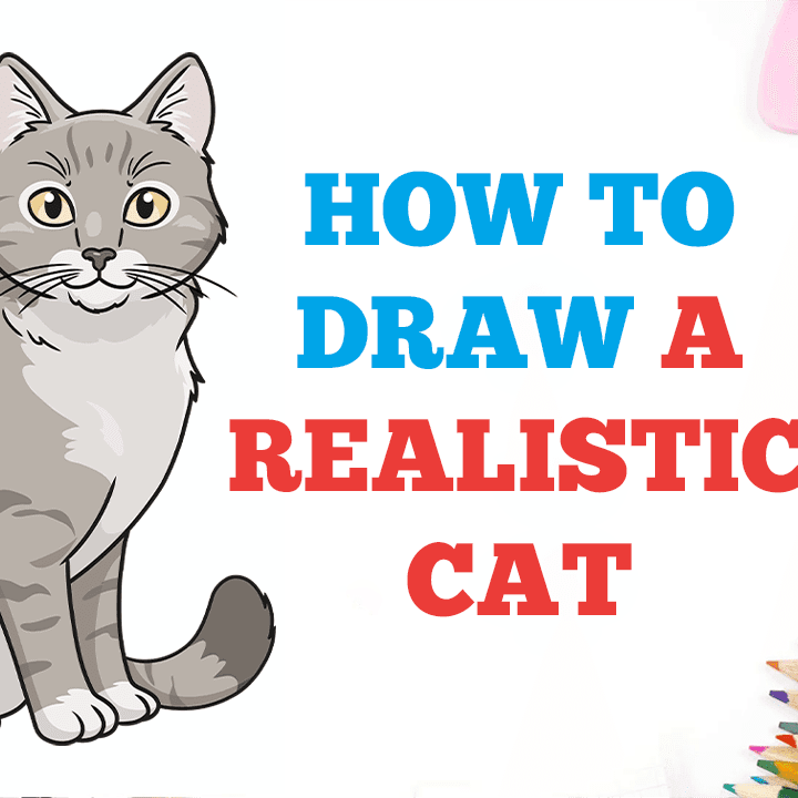 How To Draw A Cat Head Draw A Realistic Cat Step by Step Drawing Guide  by finalprodigy  DragoArt