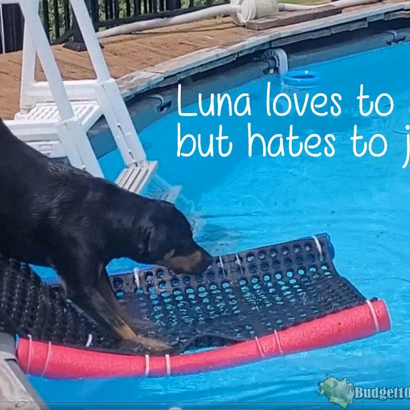 Ramp for dogs to get out of pool cheap