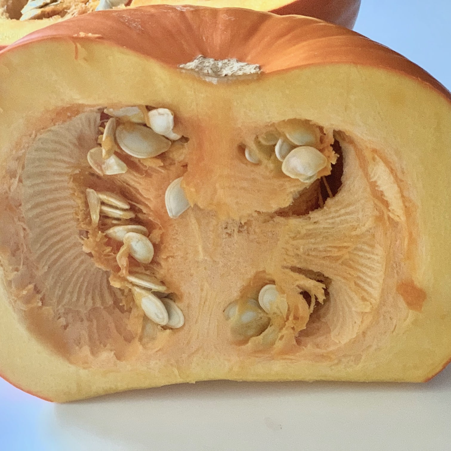 Homemade Pumpkin Pur e For Dogs