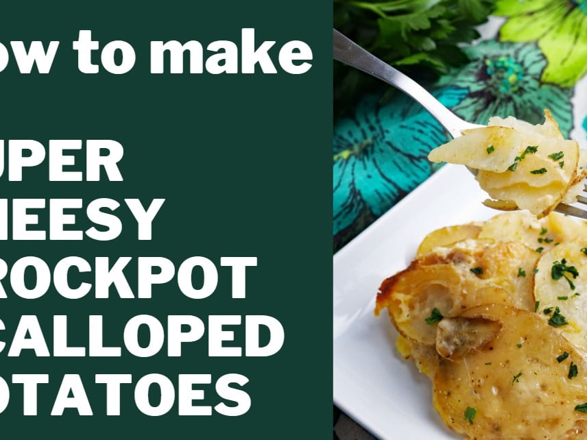 Crockpot Scalloped Potatoes {Easy & Creamy!} –