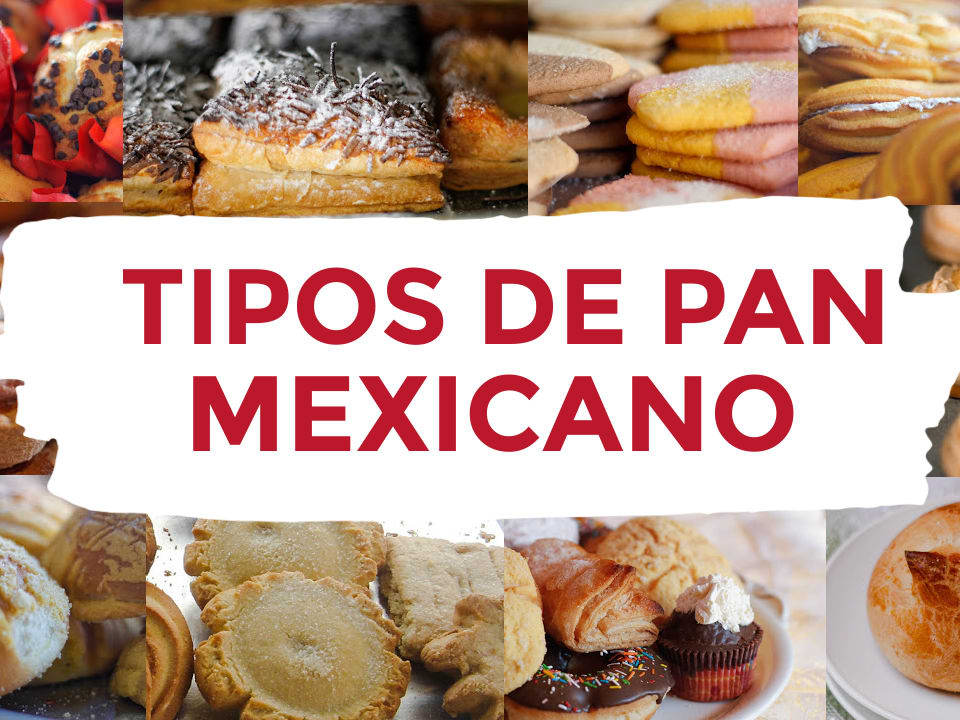 Guía de Pan Dulce Mexicano • Mama Latina Tips