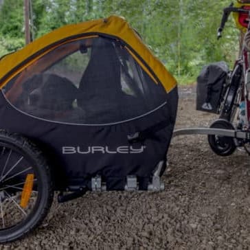 Bike trailer for 2 dogs sales