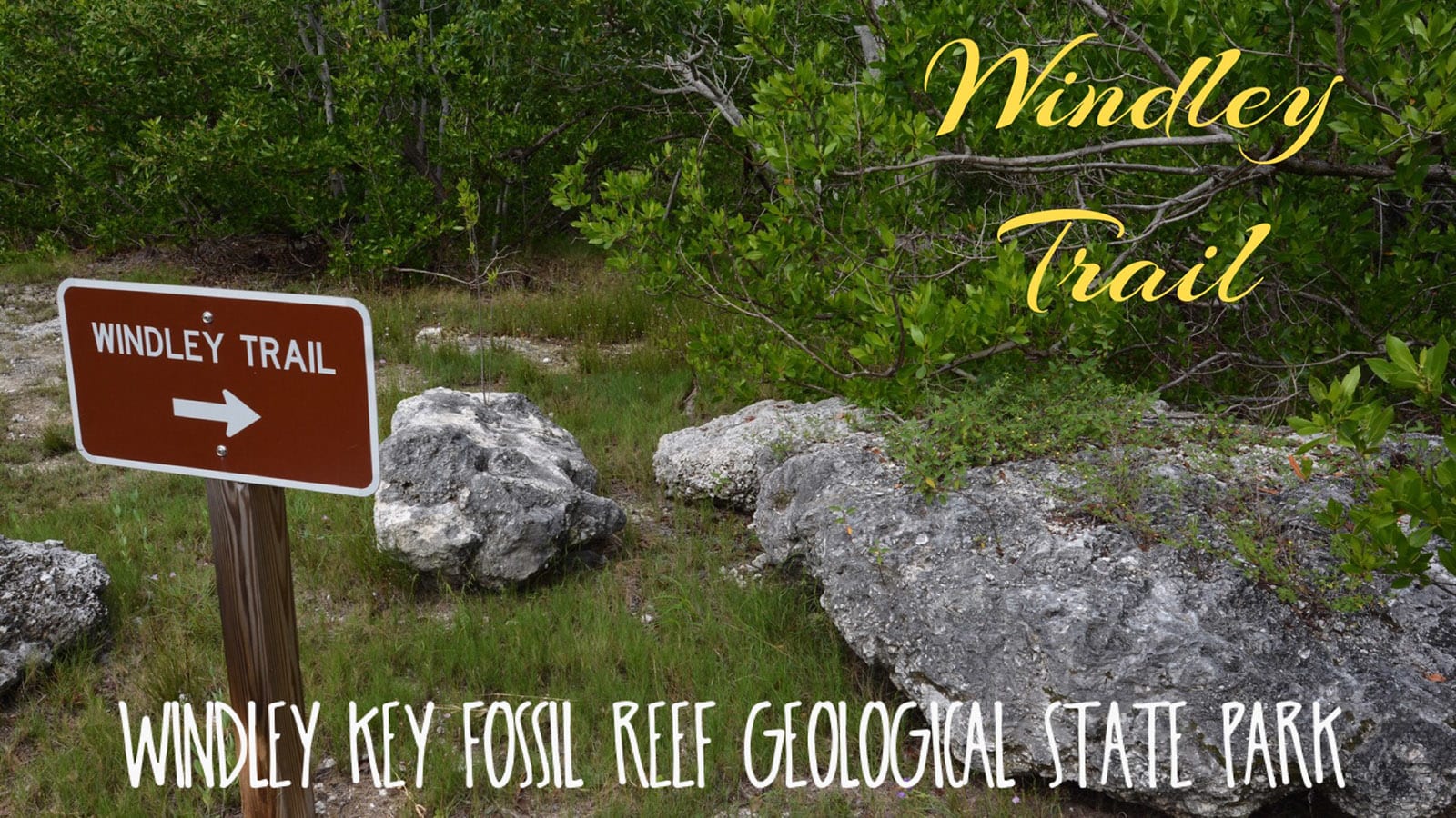 Windley Key Fossil Reef Geological State Park