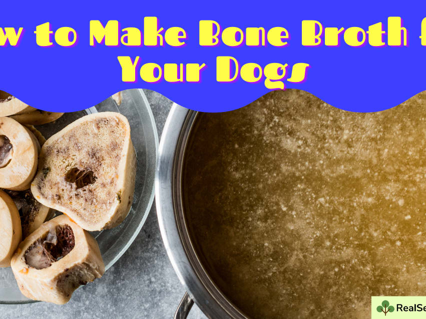 Bone Broth A really good recipe for your dog