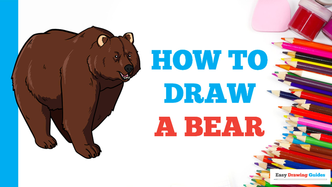 How to Draw a Bear Easy  Animals Drawings for Beginners 
