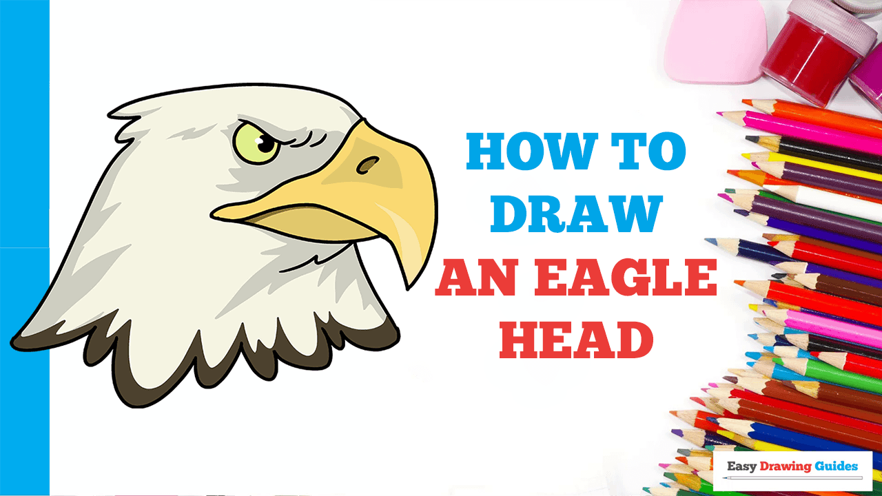 How to Draw an Eagle Head - Really Easy Drawing Tutorial