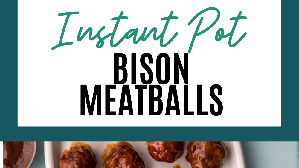 Instant hotsell pot bison