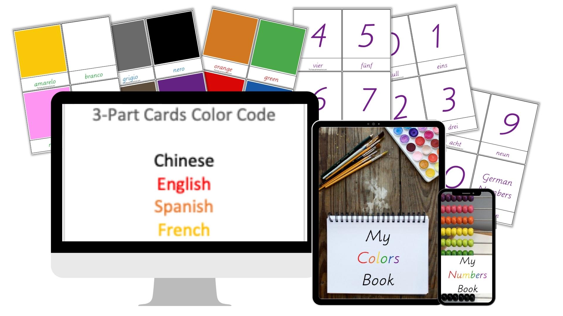 64 Spanish Sports Vocabulary Flashcards Learning Spanish Homeschool  Distance Learning Spanish Card Set Educational Flash Cards 