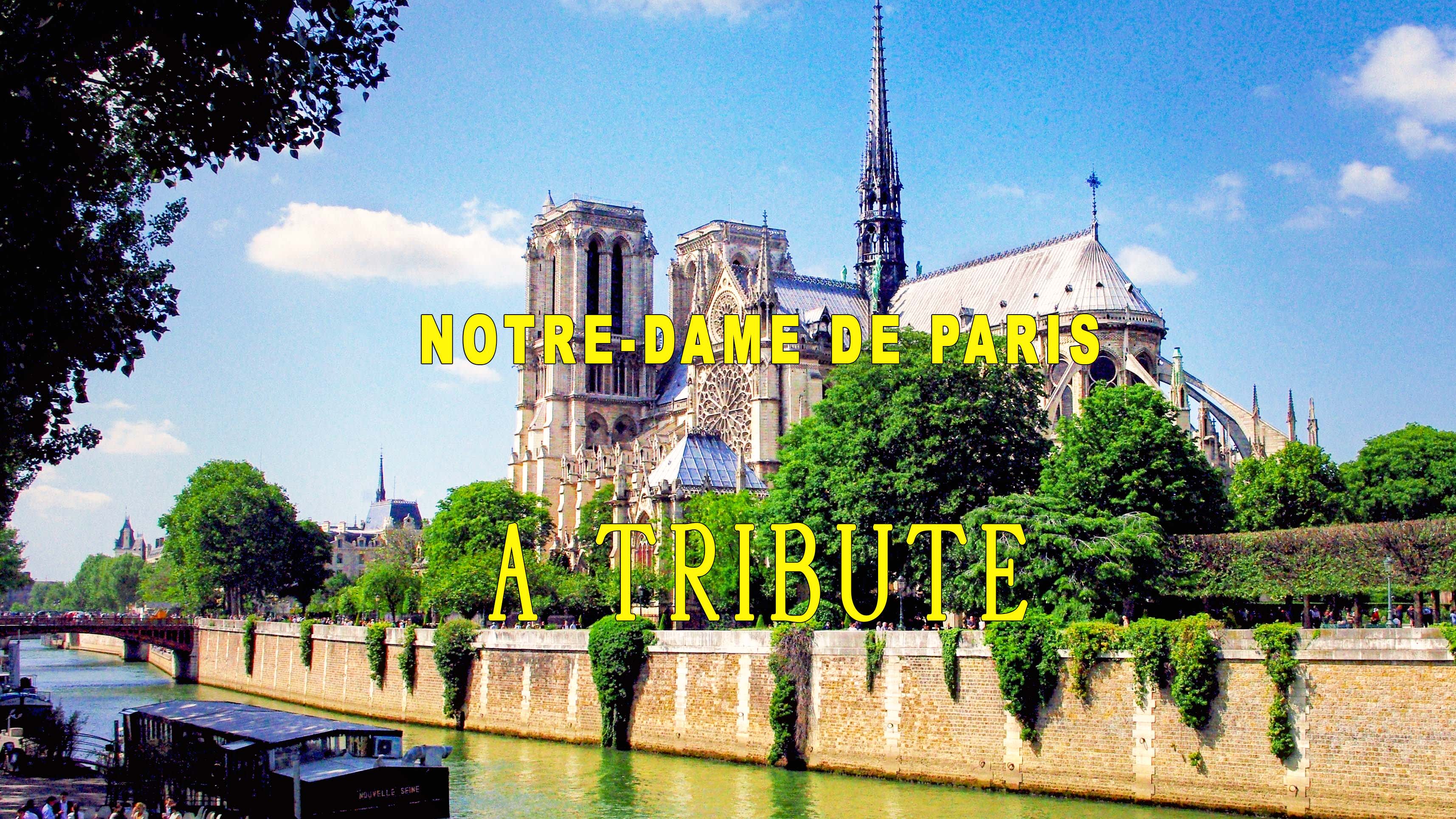 lay off bond suicide Notre-Dame de Paris: a guide to the Gothic cathedral - French Moments
