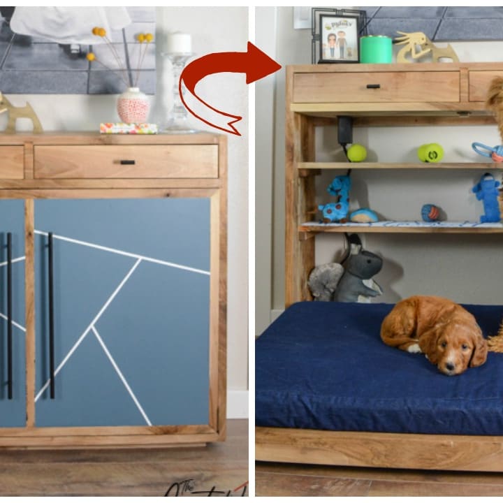 Dog store murphy bed