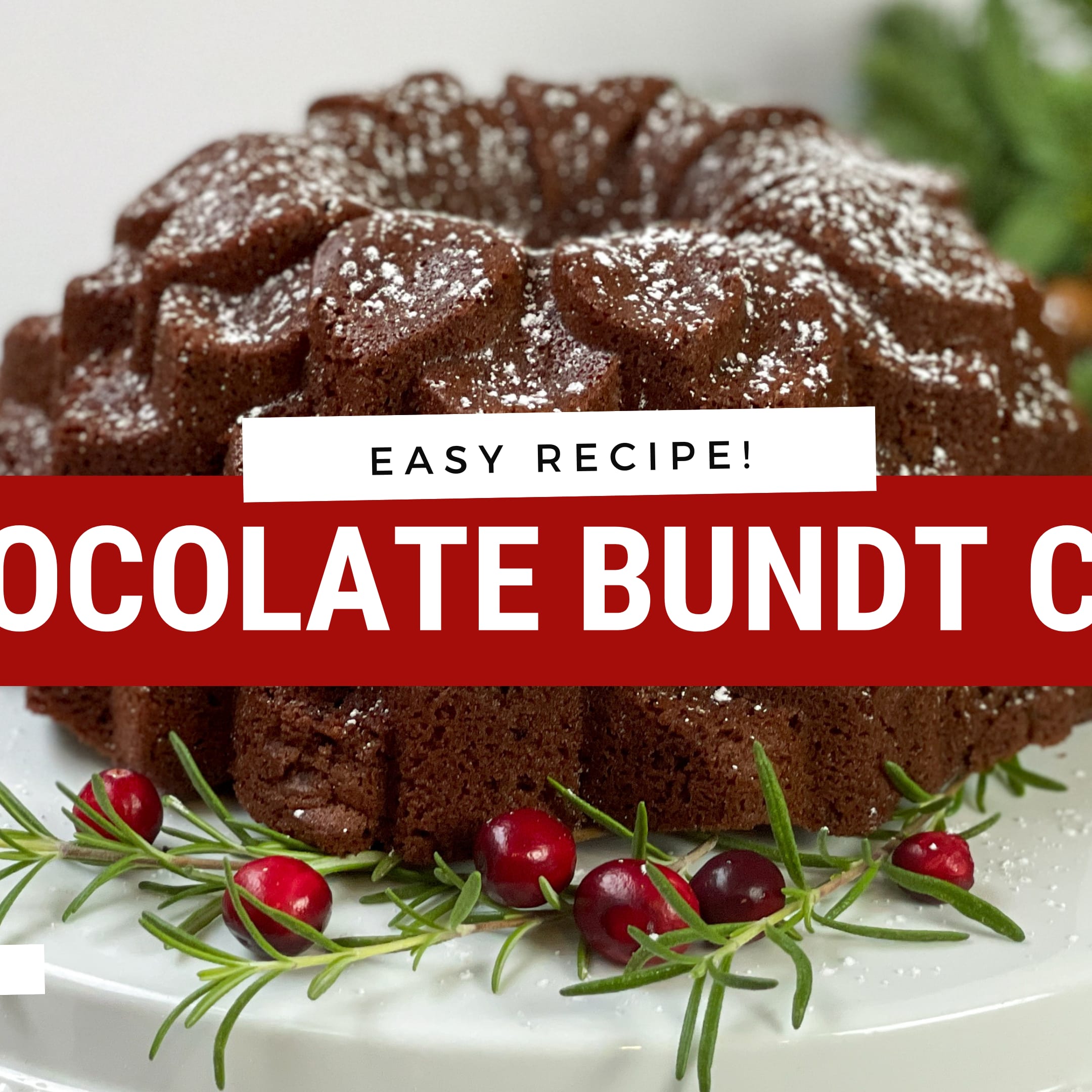 Chocolate Bundt Cake Recipe Pine Forest NordicWare Pan - Crafting a Family  Dinner