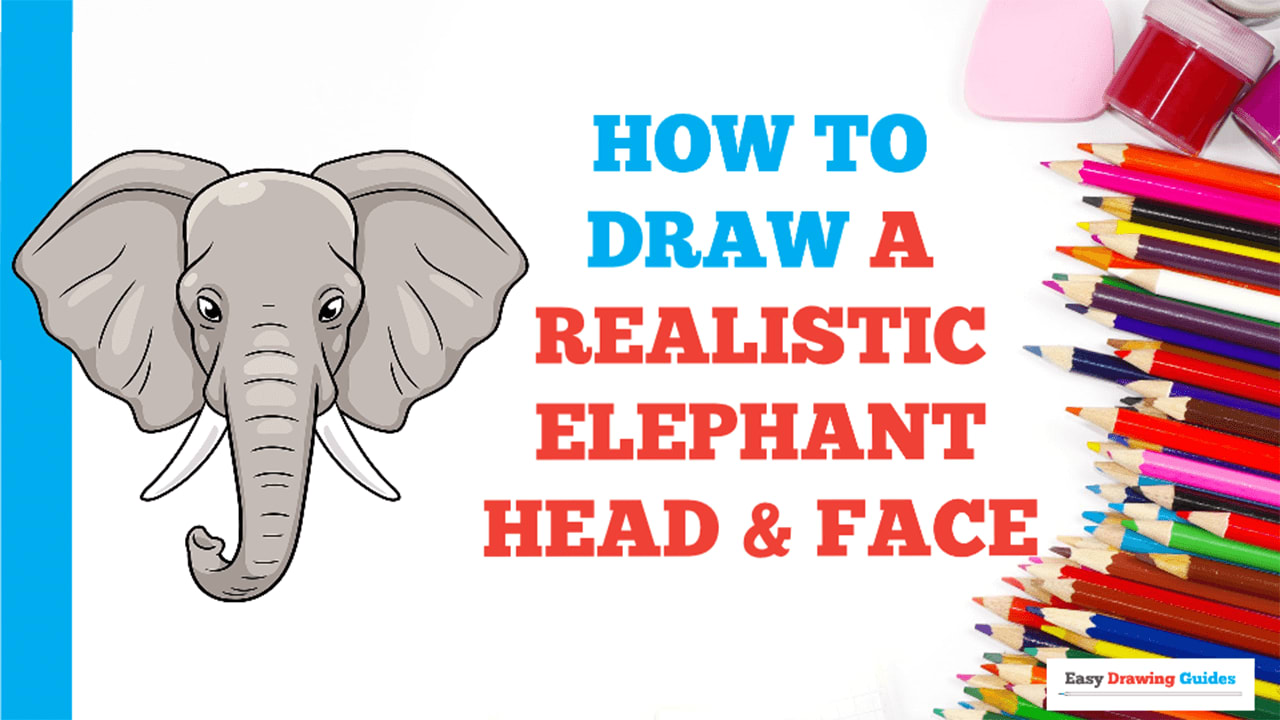 How to Draw Elephants with Step by Step Drawing Tutorial - How to Draw Step  by Step Drawing Tutorials