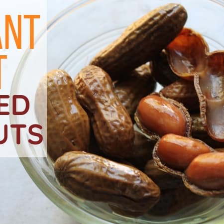 Instant Pot Boiled Peanuts