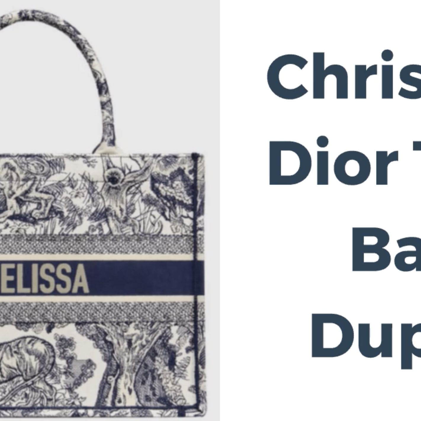 Christian dior sales tote dupe