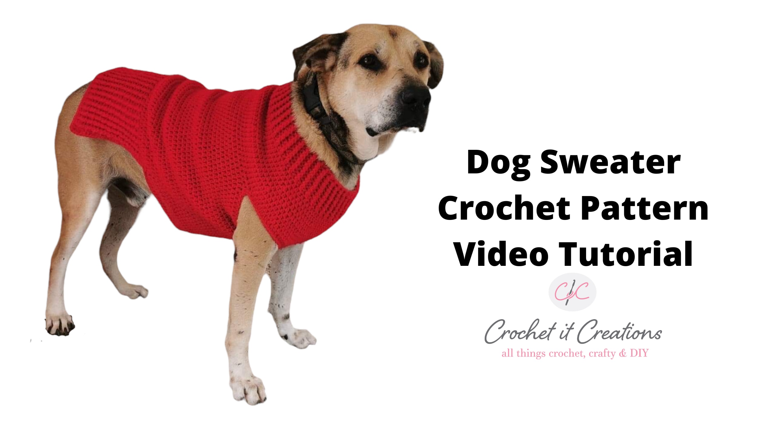 Dog Sweater Crochet Pattern Video Tutorial