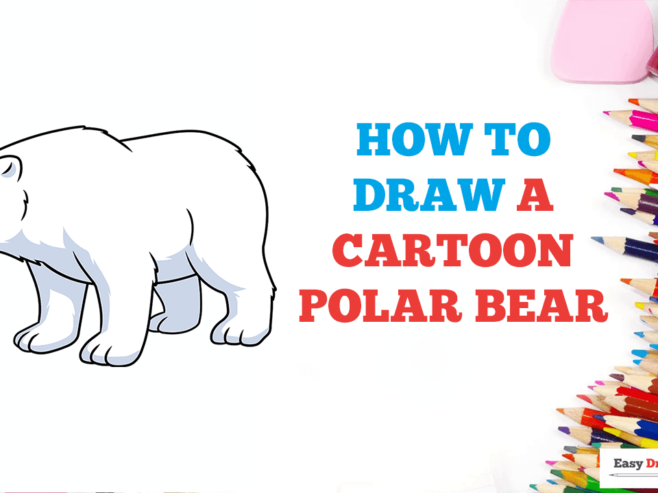 Cartoon Polar Bear Drawing - How To Draw A Cartoon Polar Bear Step