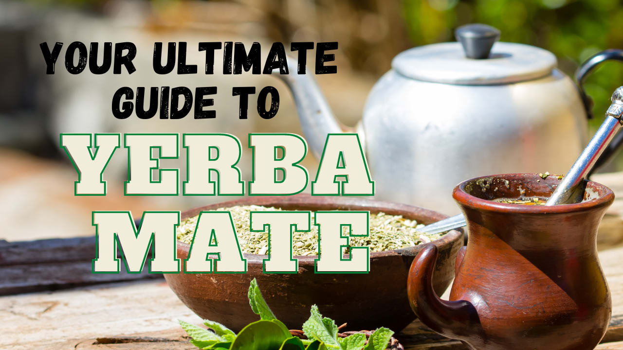 What is yerba maté? - Perfect Daily Grind