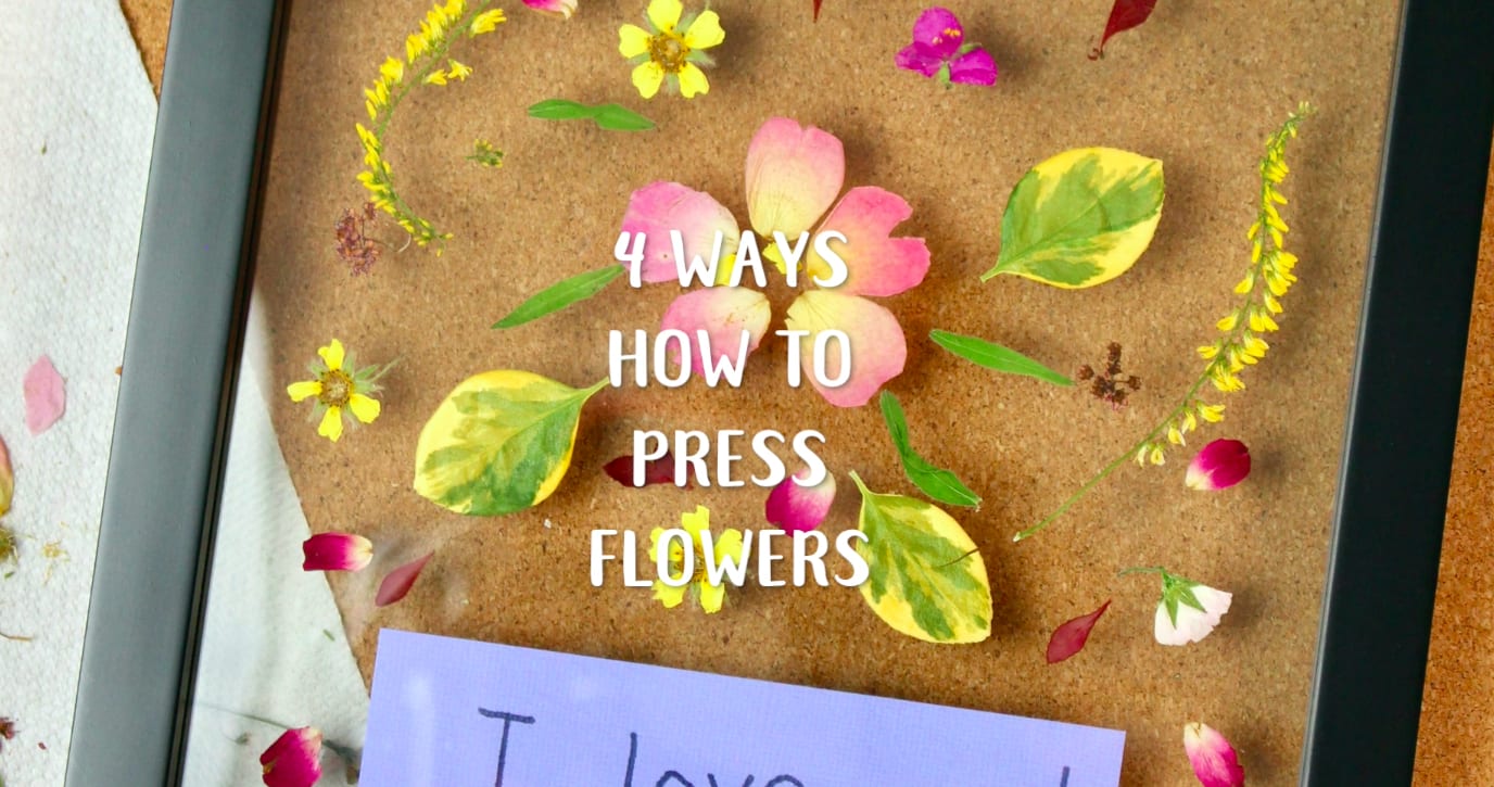 How to Press Flowers, According to Floral Pros