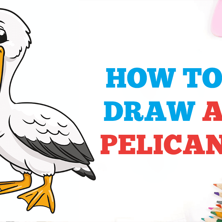 How to Draw a Pelican - Really Easy Drawing Tutorial