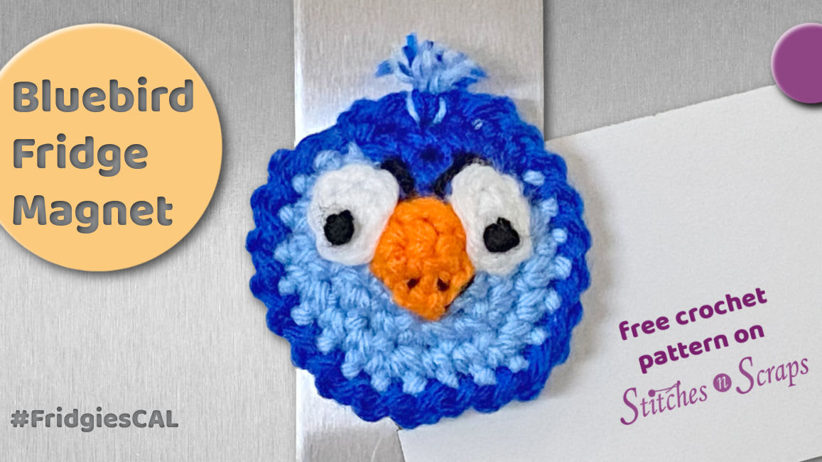 Guest Post: Baby Bluebird Craft Magnets - Craft Project Ideas