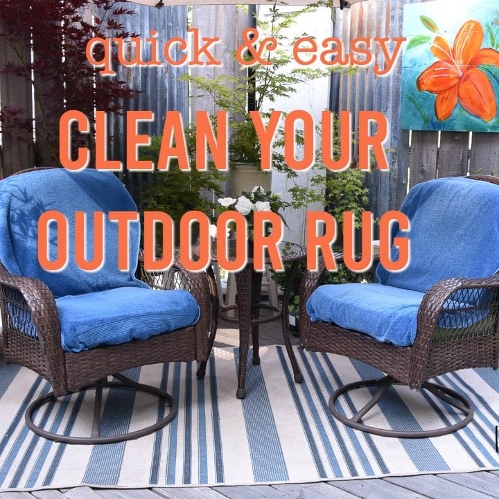 6 Tips for Cleaning and Maintaining an Outdoor Rug – Sunnydaze Decor