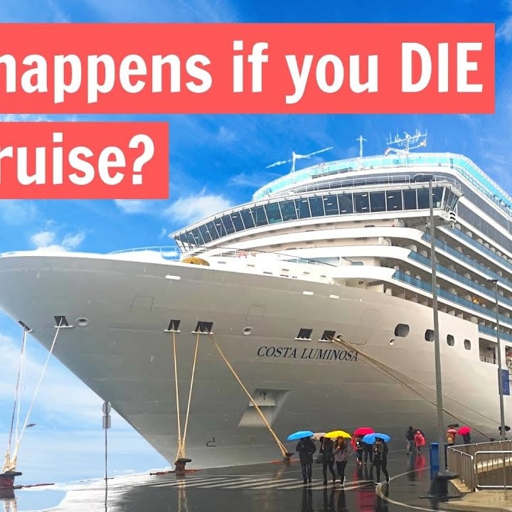 Haut 103+ imagen cruise suicides fr.thptnganamst.edu.vn