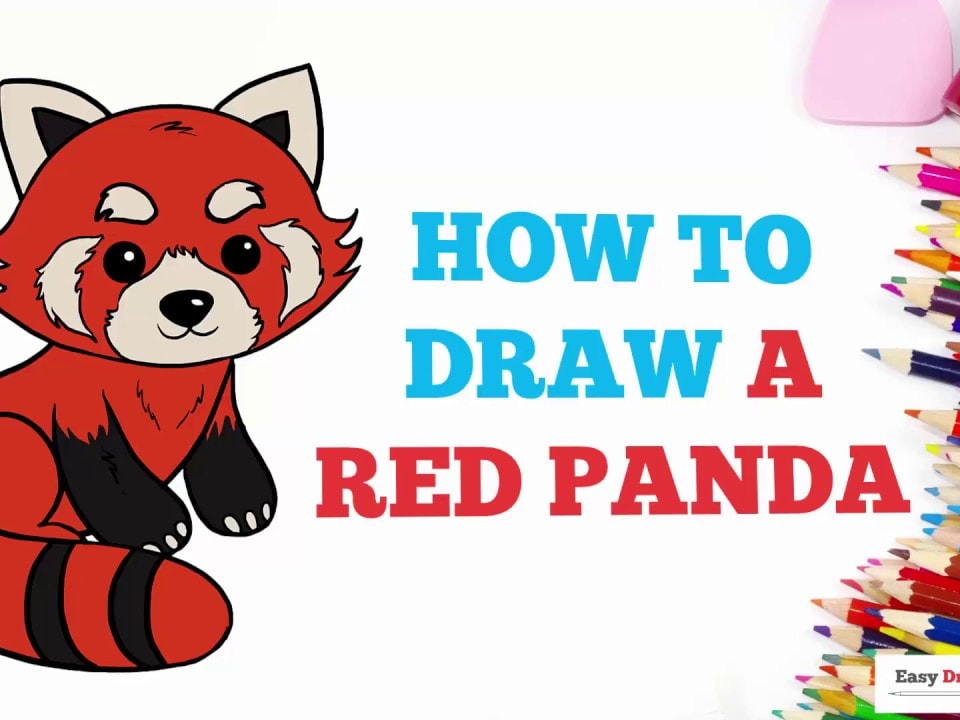 How to Draw a Red Panda - Really Easy Drawing Tutorial