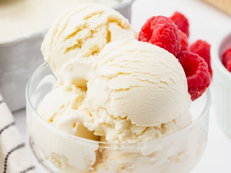 Frozen Yogurt Recipe