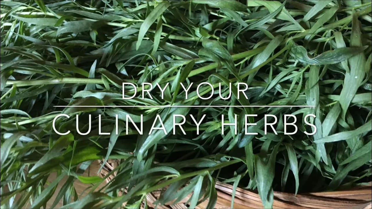 Dehydrating Fresh Herbs - Home in the Finger Lakes