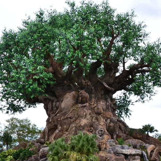 10 Animal Kingdom Tree of Life Facts - Disney Insider Tips