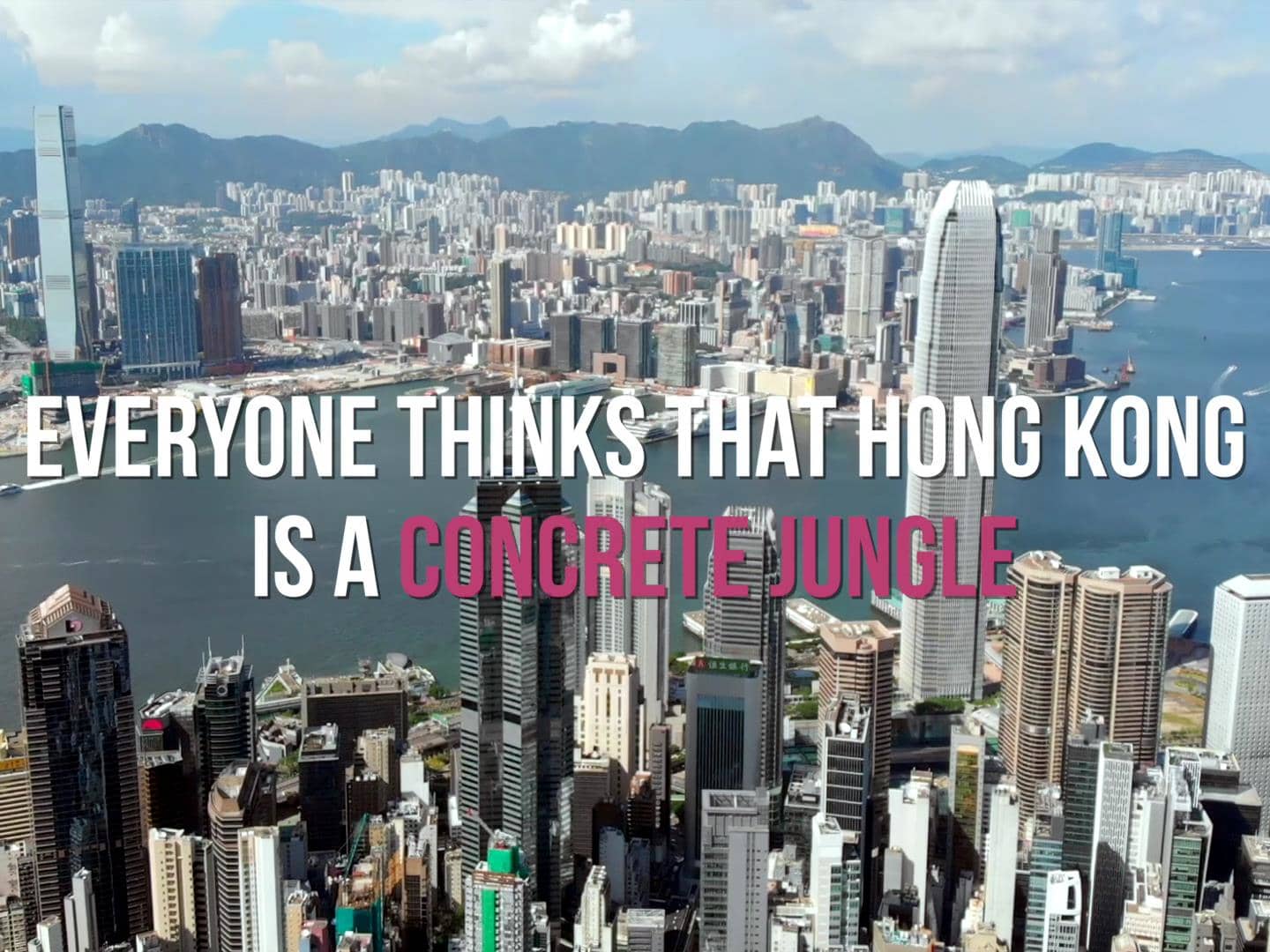 The Essential Things to Know Before You Visit Hong Kong