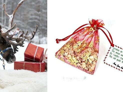 Free Delivery Magic Reindeer Food In Organza Bags Buy 3 get 4th FREE!!!!! 