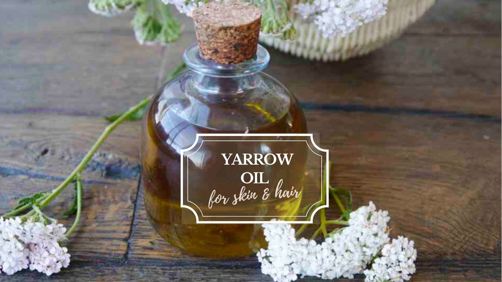 How to Make Yarrow Oil and 10 ways to use It - SimplyBeyondHerbs