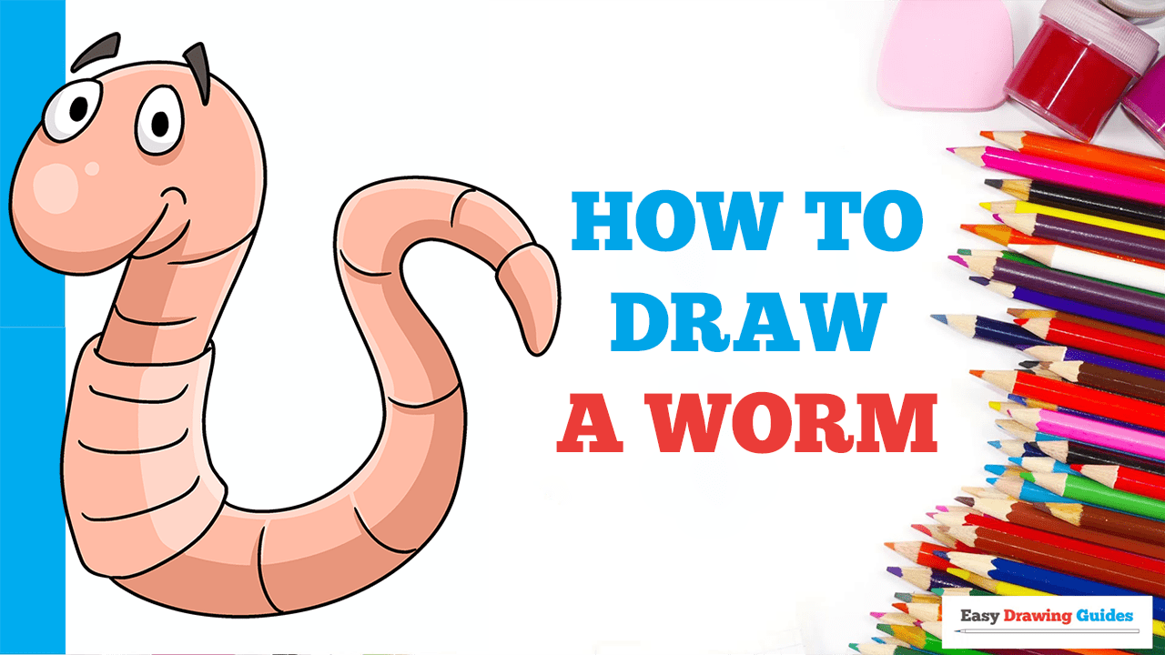How to Draw a Worm - Really Easy Drawing Tutorial