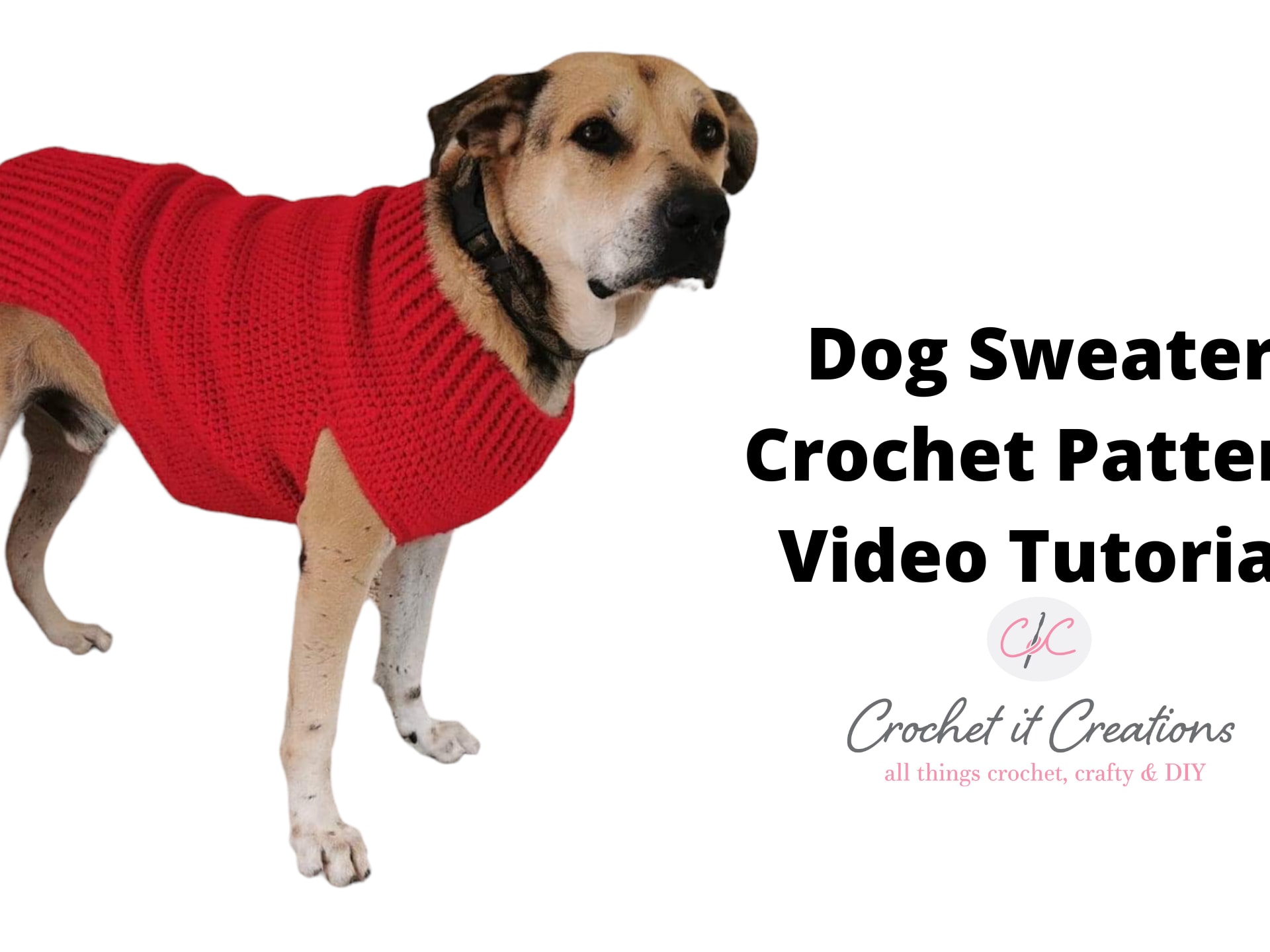 10 Dog Sweater Crochet Patterns - TimmelCrochet