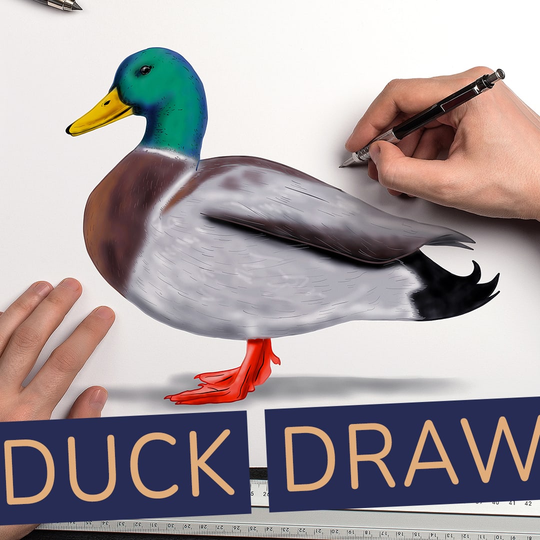 How to Draw Donald Duck - Really Easy Drawing Tutorial-saigonsouth.com.vn
