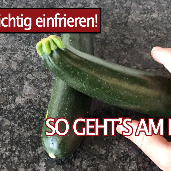 Elite mikroskopisch Oxid zucchini haltbarkeit kühlschrank schnurlos Embryo nochmal