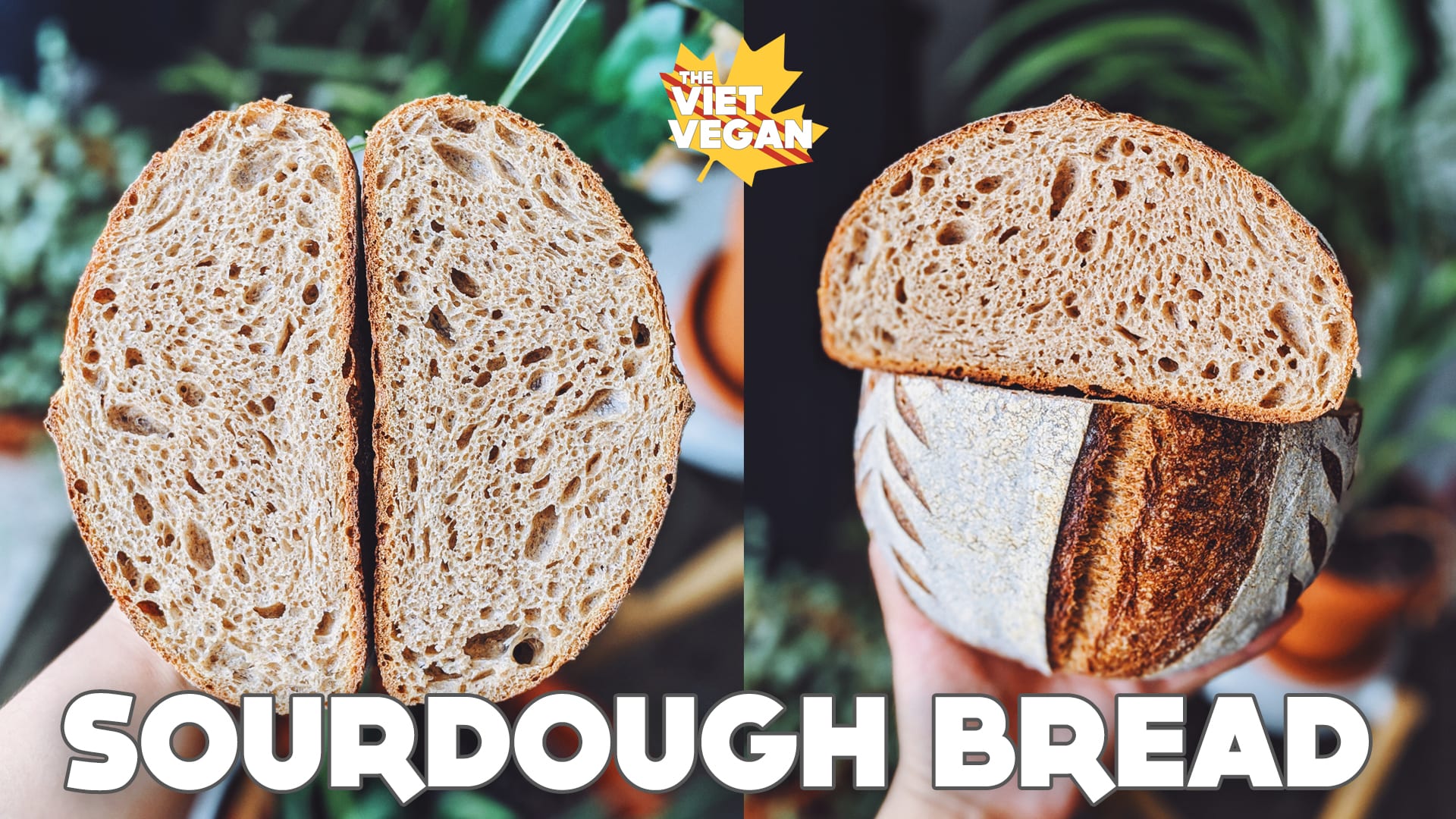 Vegan Sourdough Bread (Beginner-Friendly!) - The Conscientious Eater