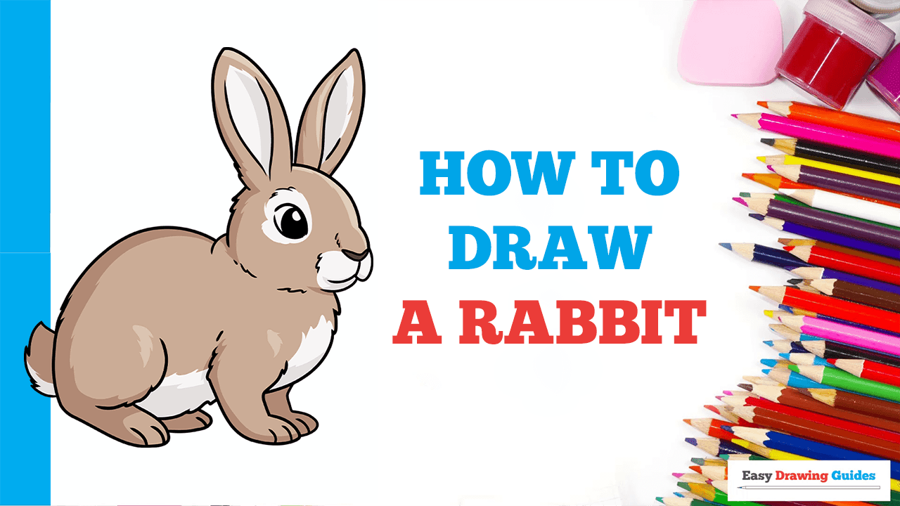 Rabbit Drawing Images – Browse 611,480 Stock Photos, Vectors, and Video |  Adobe Stock