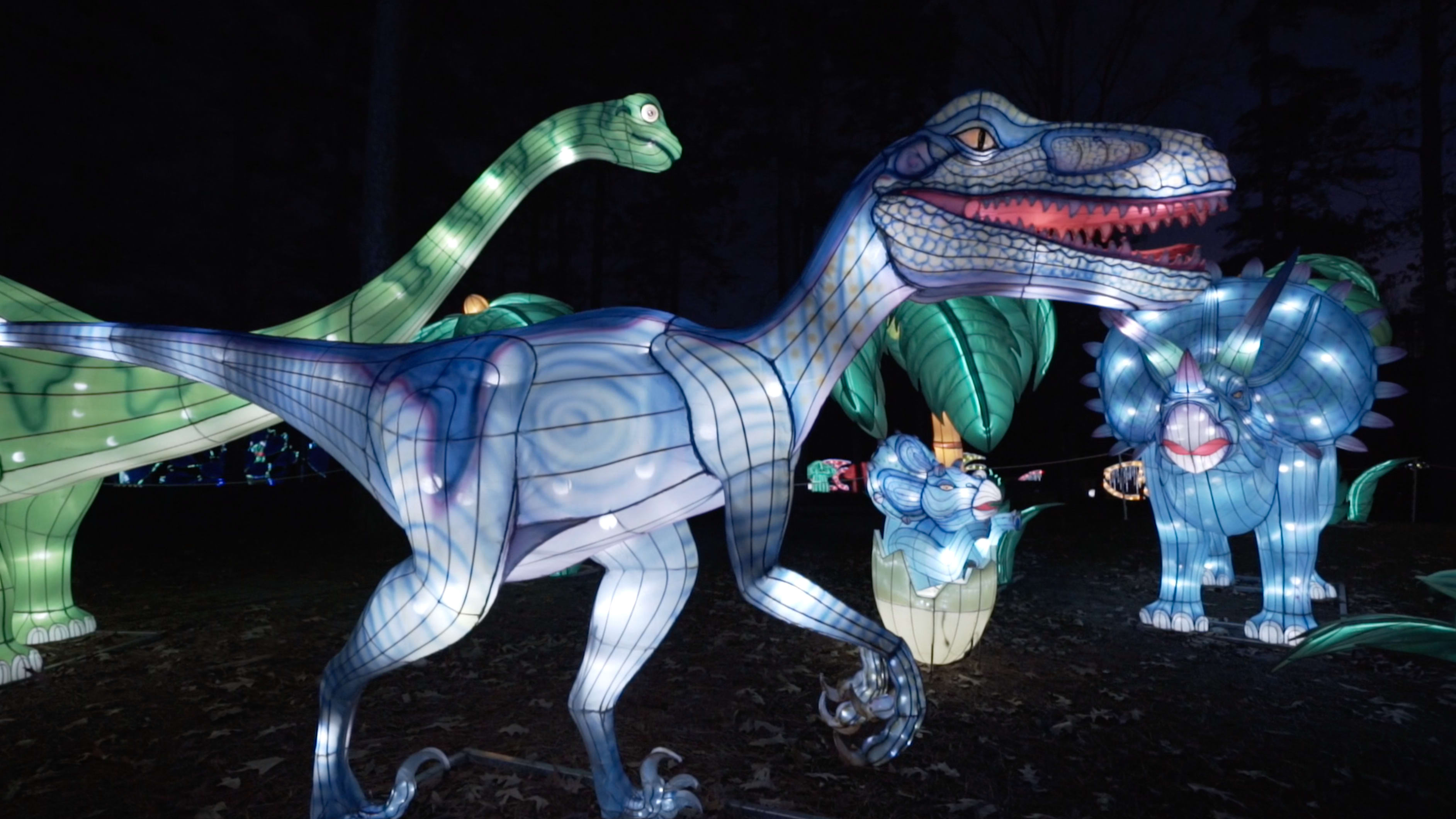 Chinese lantern discount tickets online