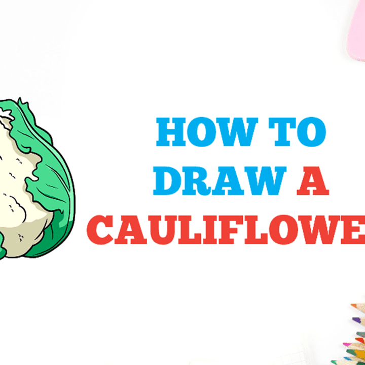 Cauliflower design drawing isolated Royalty Free Vector